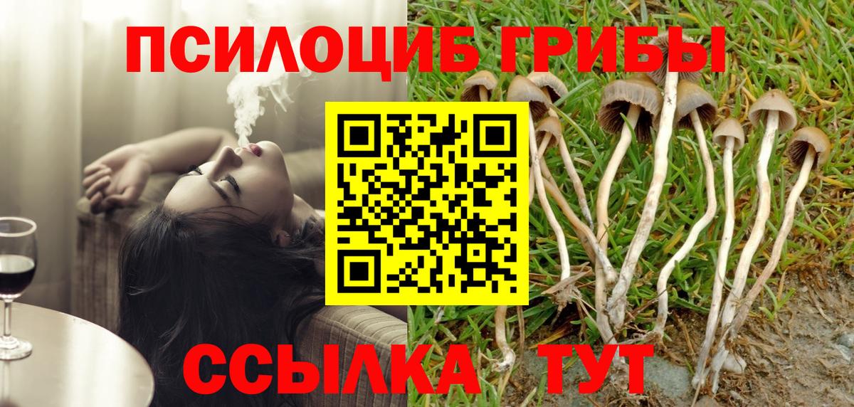 Галлюциногенные грибы Magic Shrooms Владимир