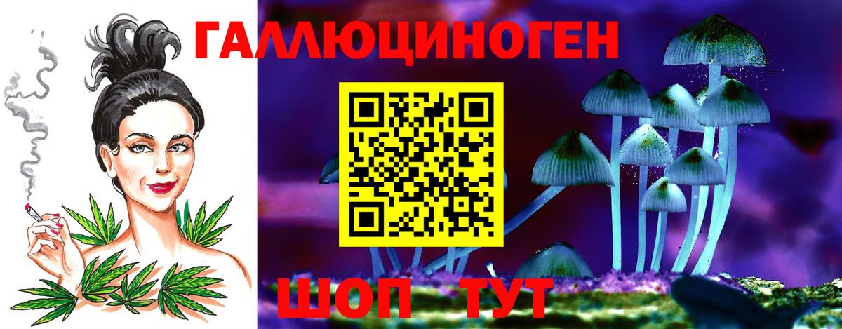 Псилоцибиновые грибы Psilocybe  Вход с VPN  Псилоцибиновые грибы GOLDEN TEACHER  Владимир 